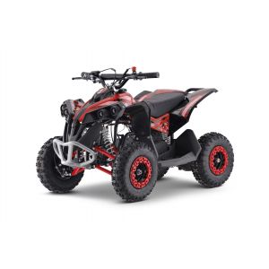 Outlaw quad benzine 4-takt 125cc rood Alle producten BerghoffTOYS